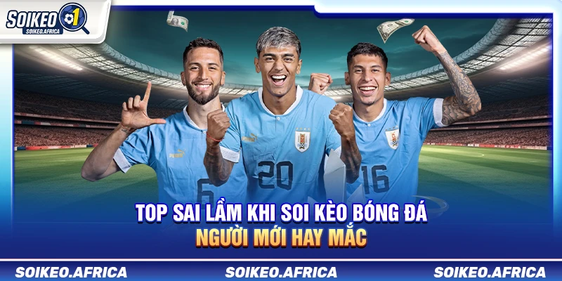 Top Sai Lầm Khi Soi Kèo Bóng Đá Người Mới Hay Mắc Top Sai Lầm Khi Soi Kèo Bóng Đá Người Mới Hay Mắc