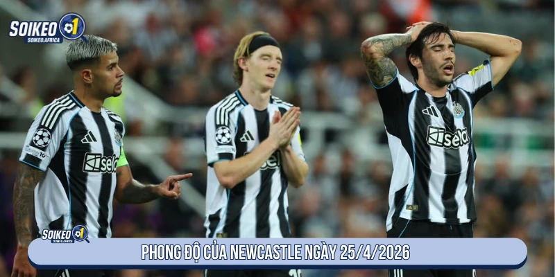 Soi Kèo Arsenal Vs Newcastle 23:30 Ngày 25/4/2026 Premier League Phong độ của Newcastle ngày 25/4/2026