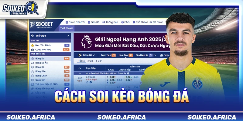 Cách Soi Kèo Bóng Đá Dễ Hiểu Cho Người Mới Cách soi kèo bóng đá