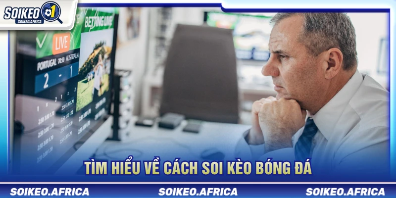 Cách Soi Kèo Bóng Đá Dễ Hiểu Cho Người Mới Tìm hiểu cách soi kèo bóng đá