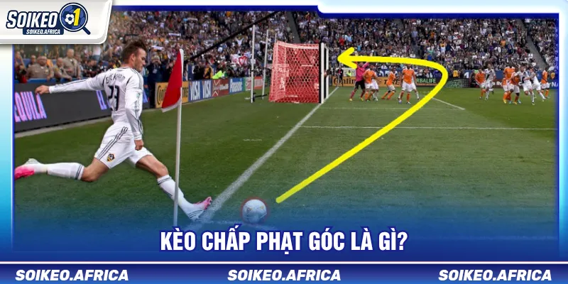 Kèo Chấp Phạt Góc Là Gì? Cách Đọc Handicap Góc kèo chấp phạt góc là gì